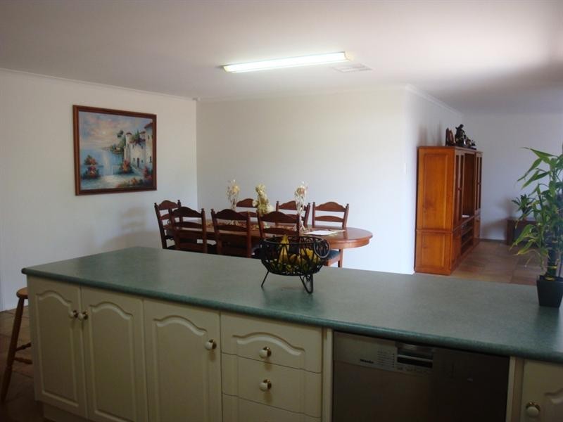 16 Rodeo Street, Walkley Heights SA 5098