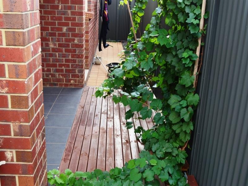 6 Coker Place, Blakeview SA 5114