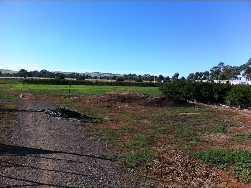 Lot 14 Panes Road, Kudla SA 5115