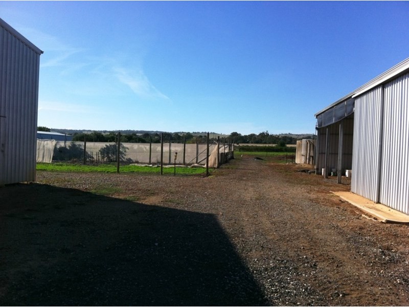 Lot 14A Panes Road, Kudla SA 5115