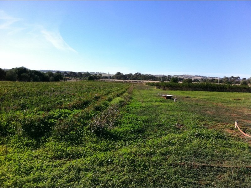 Lot 14A Panes Road, Kudla SA 5115