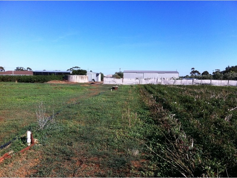 Lot 14A Panes Road, Kudla SA 5115