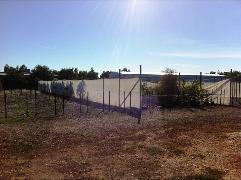 Lot 14A Panes Road, Kudla SA 5115