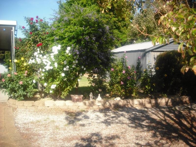 17 Bridport Street, Elizabeth Park SA 5113