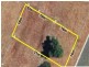47 Bristol Crescent, Davoren Park SA 5113