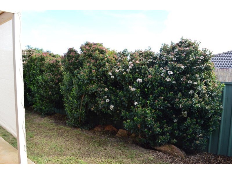 38A Toorak Drive, Blakeview SA 5114