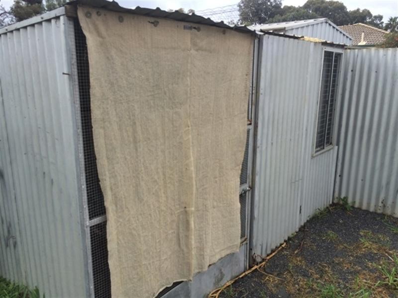 20 Nicholls Drive, Burton SA 5110