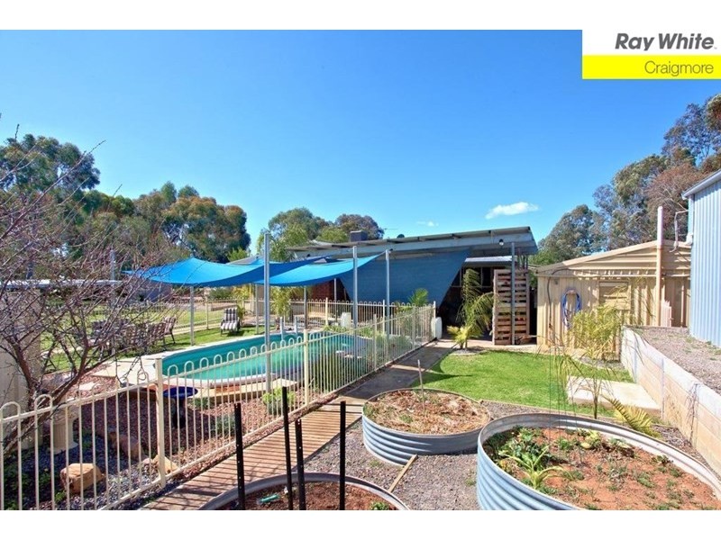 71 Pederick Road, Lewiston SA 5501