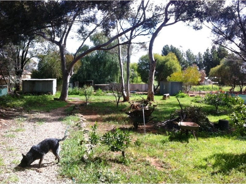 21 Gilbert Street, Tarlee SA 5411