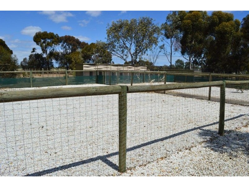 222 Hayman Road, Lewiston SA 5501