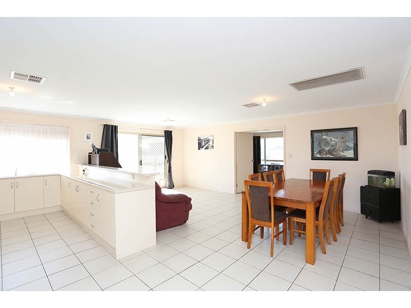 17 Claret Avenue, Virginia SA 5120