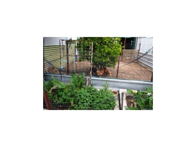 100 Frost Road, Lewiston SA 5501