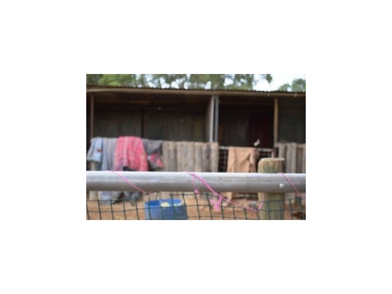 100 Frost Road, Lewiston SA 5501