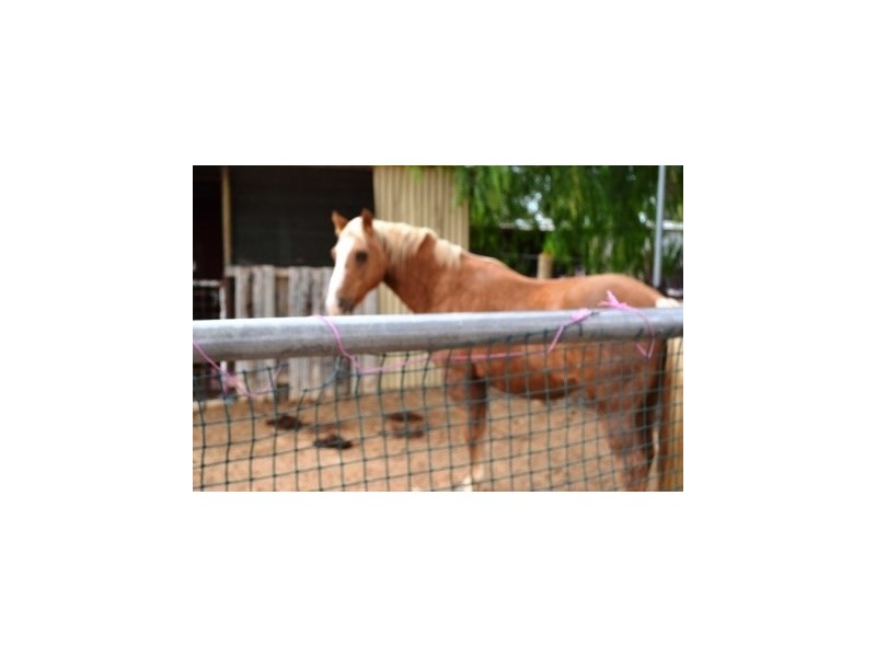 100 Frost Road, Lewiston SA 5501