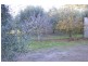 237 Dawkins Road, Lewiston SA 5501