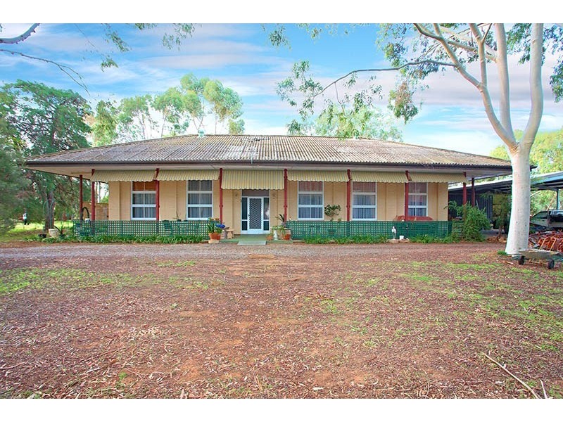 42 McIntyre Road, Macdonald Park SA 5121