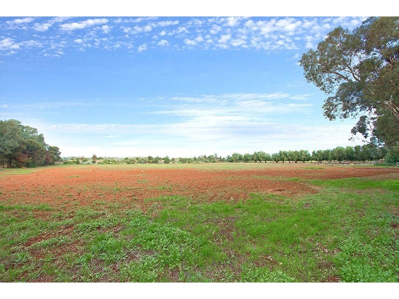 42 McIntyre Road, Macdonald Park SA 5121