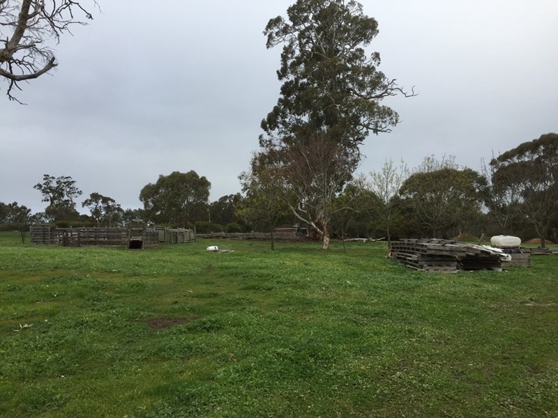 156 Precolumb Road, One Tree Hill SA 5114