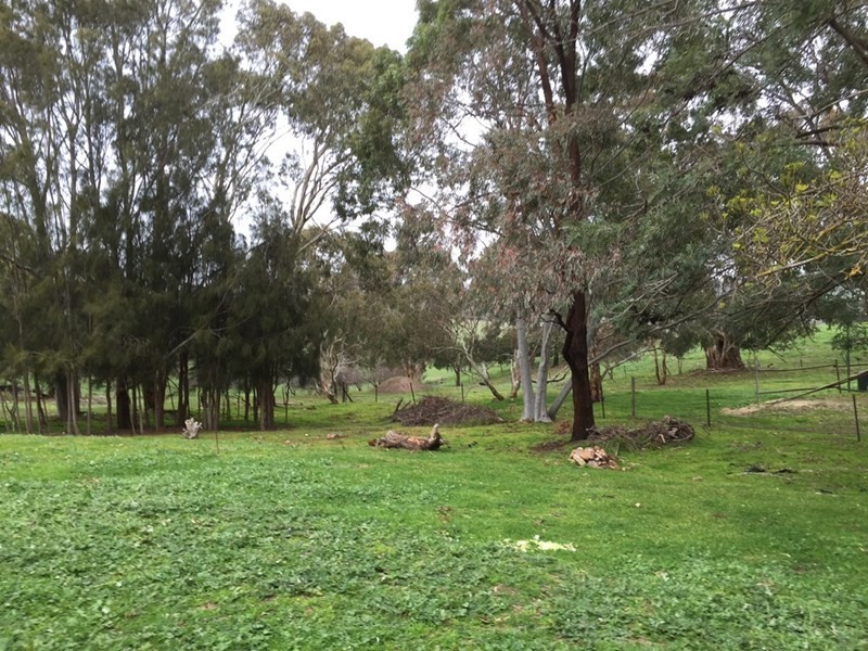 156 Precolumb Road, One Tree Hill SA 5114