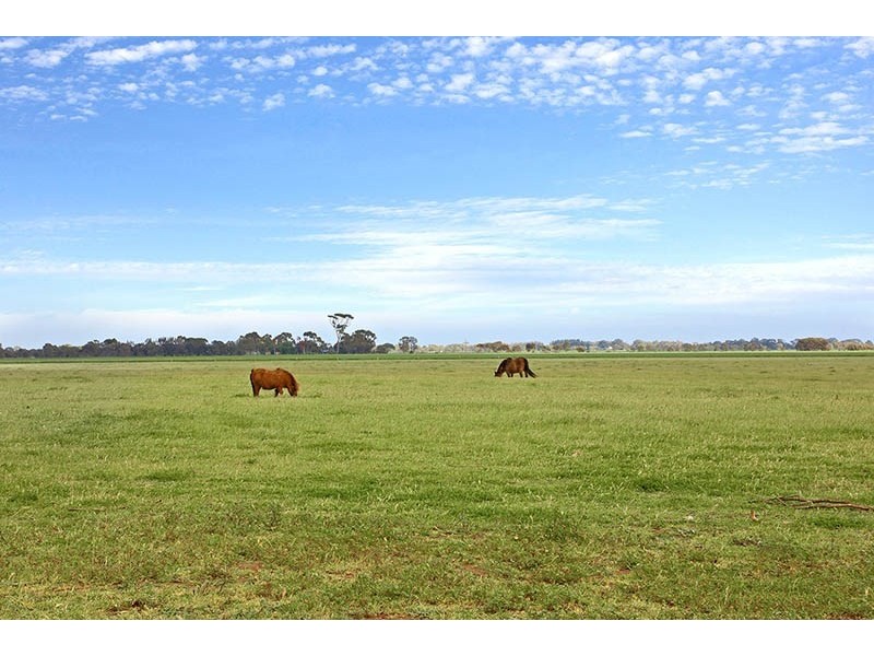 271 Wasley Road, Two Wells SA 5501