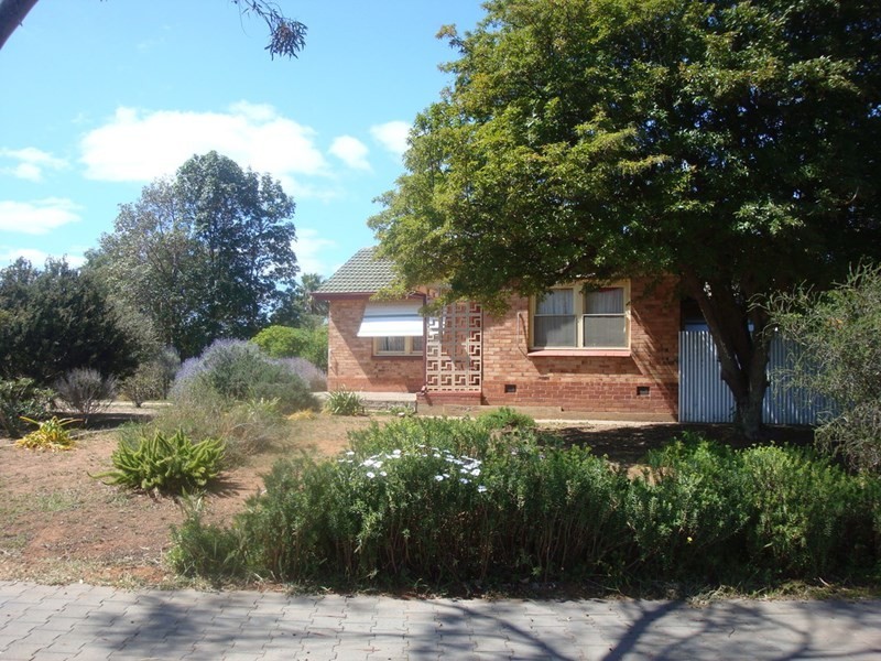 8 Campbell Road, Elizabeth Downs SA 5113