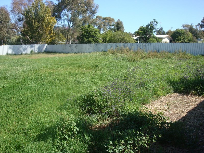 7 King Street, Lyndoch SA 5351