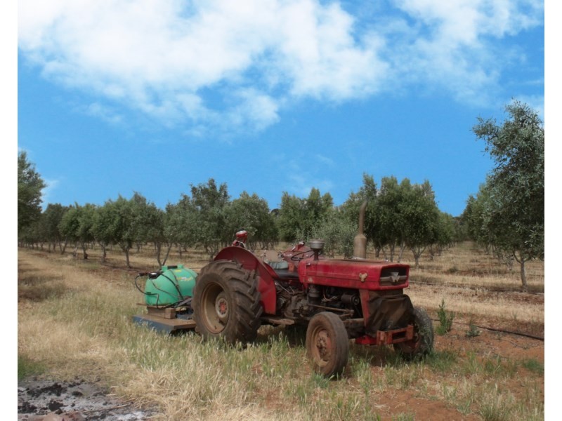 Lot 488 Pinery Road, Owen SA 5460