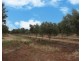 Lot 488 Pinery Road, Owen SA 5460