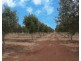 Lot 488 Pinery Road, Owen SA 5460