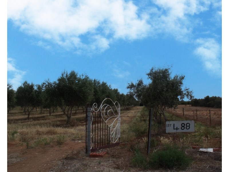 Lot 488 Pinery Road, Owen SA 5460
