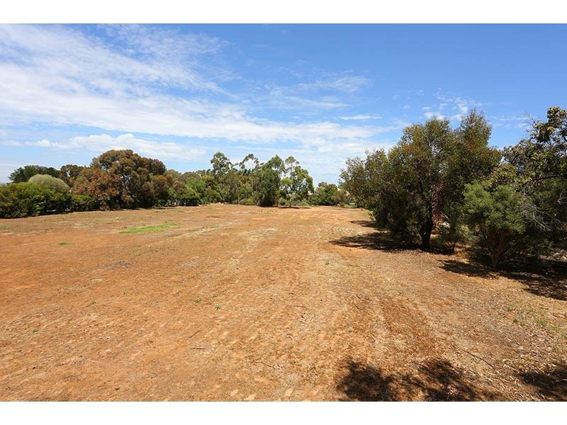 48 Gartrell Road, Macdonald Park SA 5121