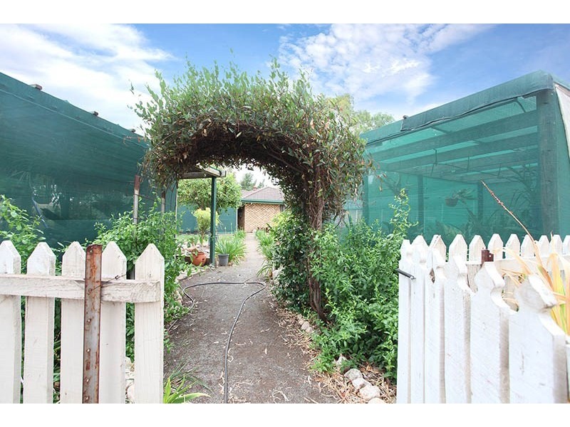 8 Spencer Street, Macdonald Park SA 5121