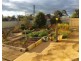 16 Hill Street, Kapunda SA 5373