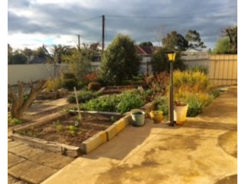 16 Hill Street, Kapunda SA 5373