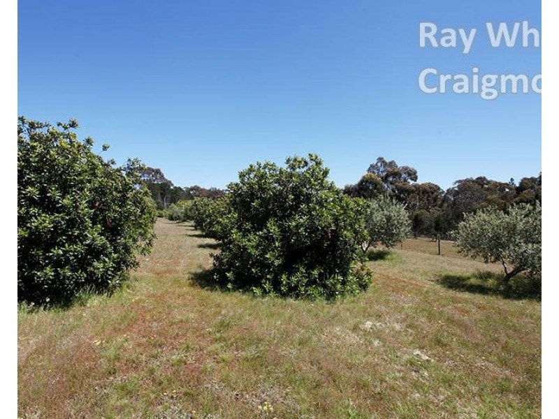 783 Humbug Scrub Road, Humbug Scrub SA 5114