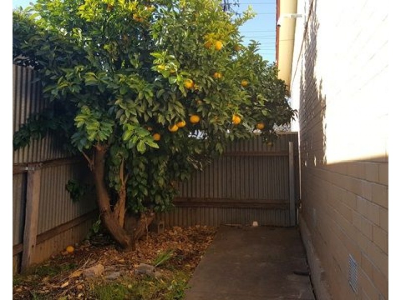 35 Adams Road, Elizabeth Park SA 5113