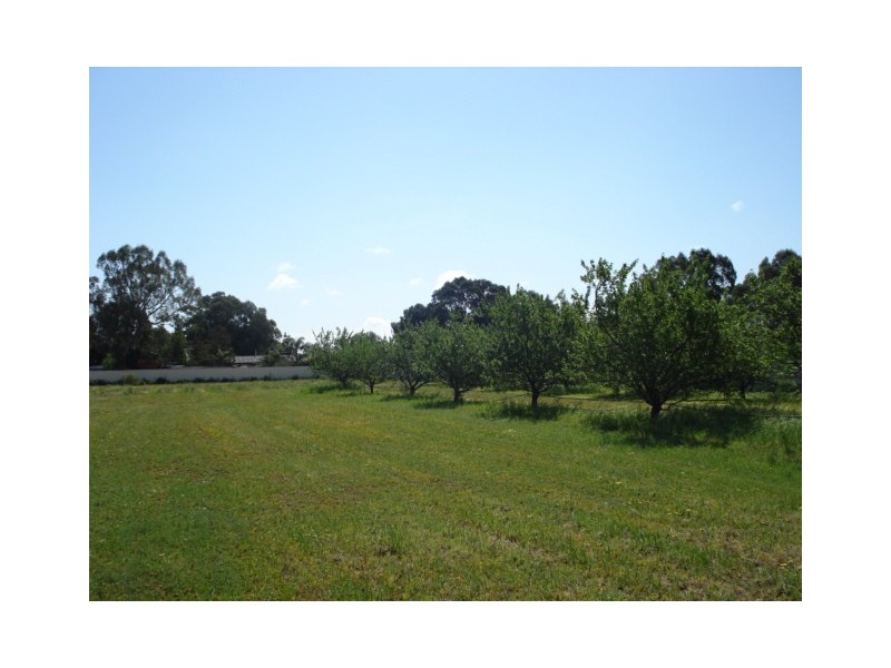 Lot 573 Lyndon Road, Macdonald Park SA 5121