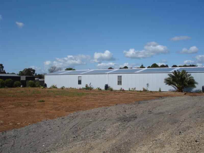 Lt 145 Lyndon Road, Macdonald Park SA 5121