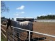 Lt 145 Lyndon Road, Macdonald Park SA 5121