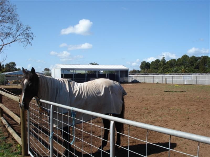 Lt 145 Lyndon Road, Macdonald Park SA 5121