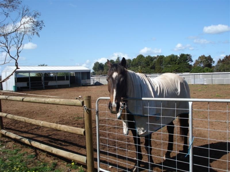 Lt 145 Lyndon Road, Macdonald Park SA 5121