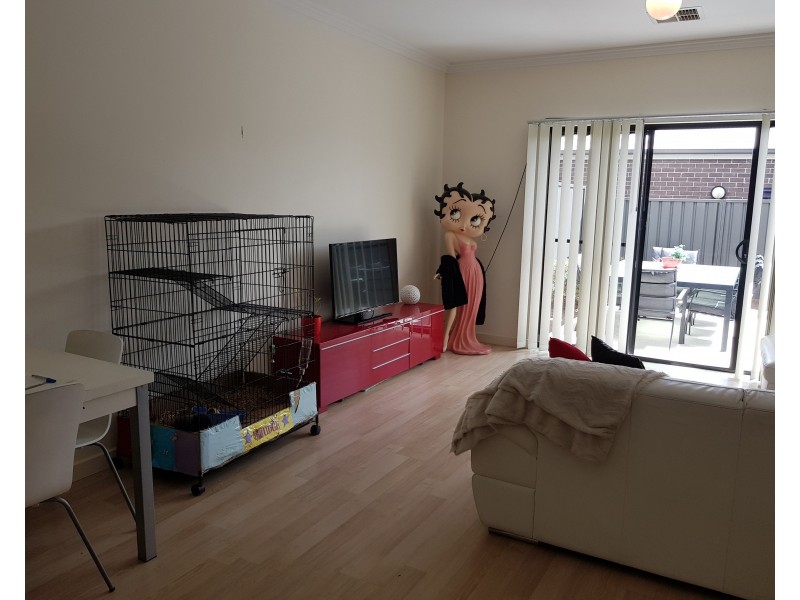 13 Mansfield Parade, Blakeview SA 5114