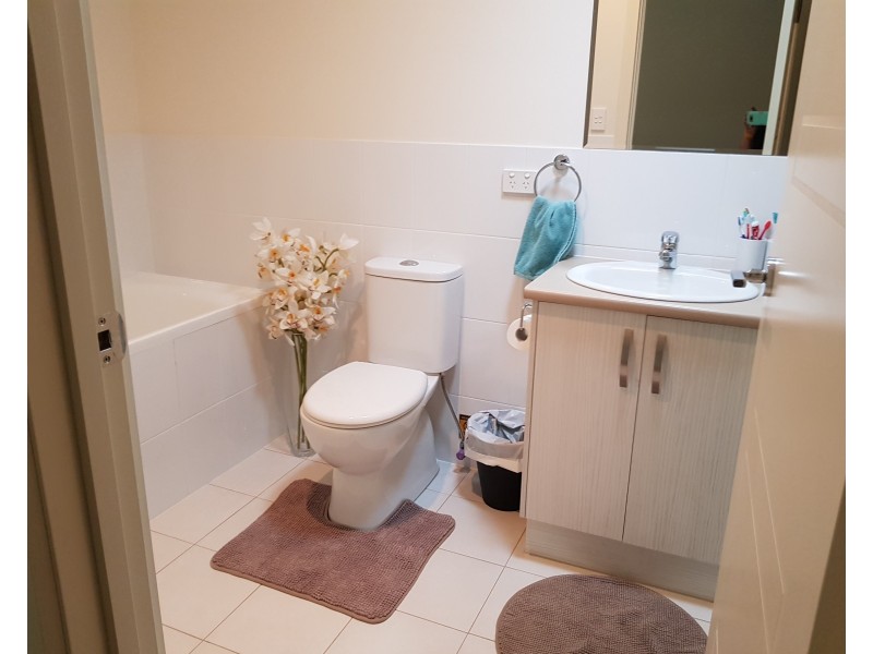 13 Mansfield Parade, Blakeview SA 5114