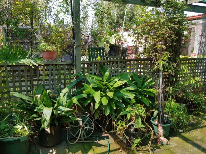 31 Hodby Crescent, Smithfield Plains SA 5114