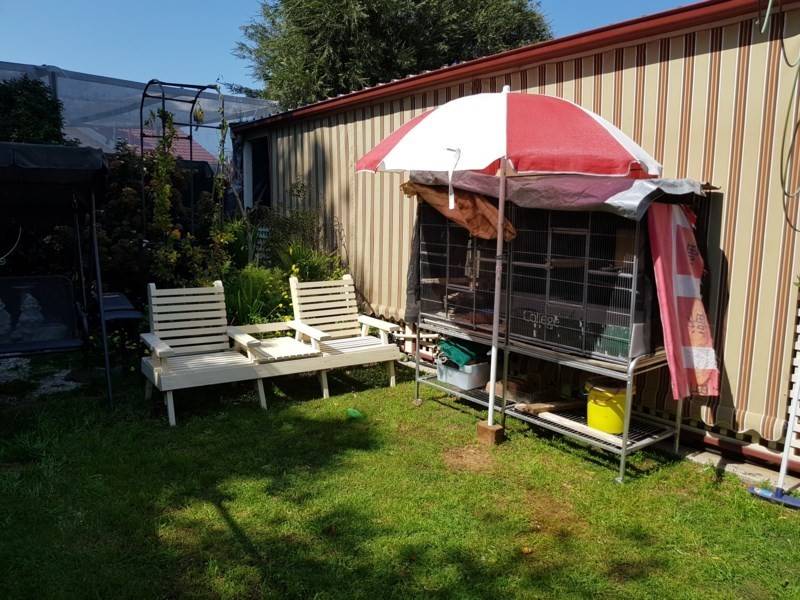 31 Hodby Crescent, Smithfield Plains SA 5114