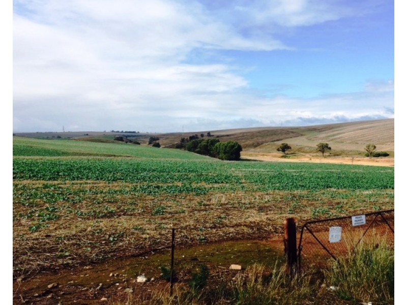 16 South Street, Hamley Bridge SA 5401