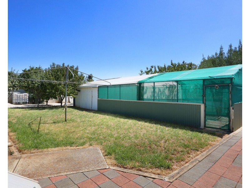 7 Wasley Street, Elizabeth Downs SA 5113