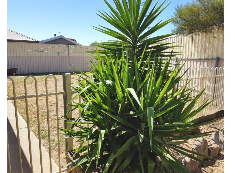 19 McNicoll Road, Paralowie SA 5108