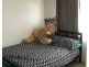 8 Rollings Way, Blakeview SA 5114