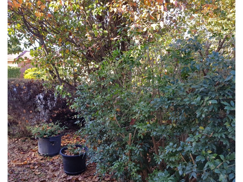 Unit 9/6-8 Farrow Road, Evanston SA 5116